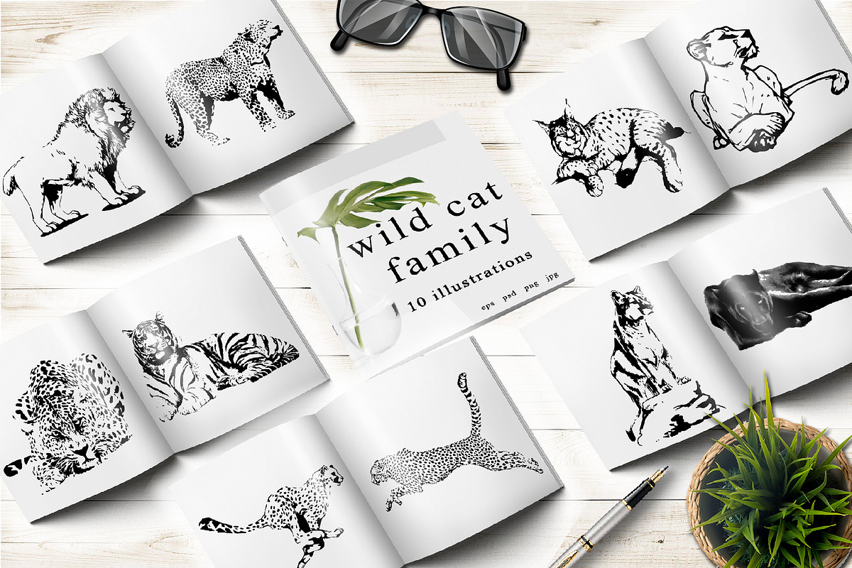 BUNDLE WILD ANIMALS VECTOR, an Animal Illustration by AnastasiyaOleynik (Photo 14 of 20)