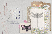 Whole Shop Huge BUNDLE - 44 in 1, an Object Illustration by Kaleriia (Thumbnail 32 of 42)