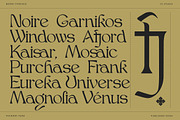 Bjork Serif, a Serif Font by CCS-Type.com (Thumbnail 16 of 30)