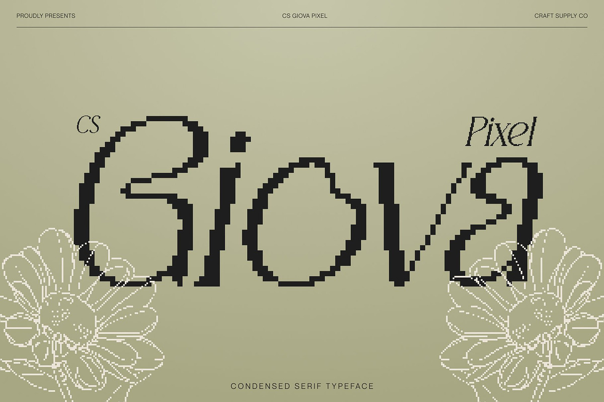CS Giova Pixel, a Serif Font by Craft Supply Co. (Photo 1 of 8)