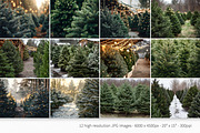 Christmas Farm Backdrops, a Holiday Photo by rileyBgraphics (Thumbnail 2 of 6)