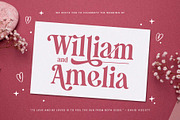 Manshera Romika - Modern Vintage, a Serif Font by Arterfak Project (Thumbnail 4 of 15)