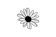 Daisy Flower Line Art Vector Bundle0, an Illustration by jahid234 (Thumbnail 37 of 51)