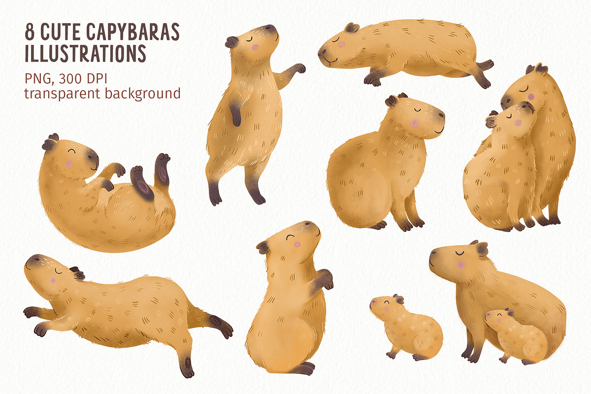 Adorable Capybaras clipart, an Animal Illustration by PenguinArtStudio (Photo 2 of 7)