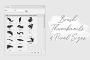 C. America Watercolor PS Brushes, a Brush Add-On by Fernwel Creative (Thumbnail 3 of 6)