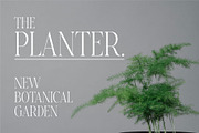 Baqier Modern Serif Font, a Serif Font by Dylla_studio (Thumbnail 6 of 9)