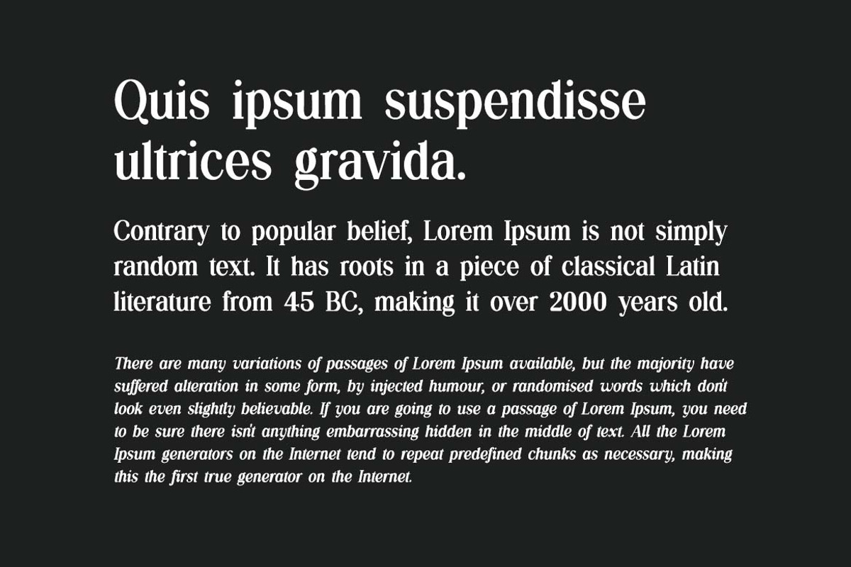 Silvex Editorial Serif Family Font, a Serif Font by UICreative (Photo 2 of 13)
