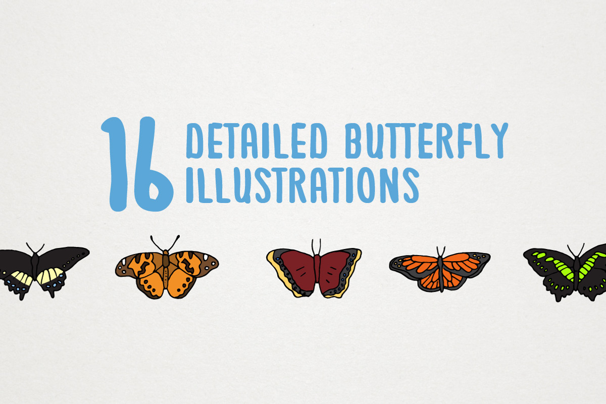 Butterflies of the World, a Decorative Illustration by Lemonade Pixel (Photo 3 of 7)