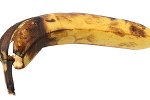 Rotten banana on isolated background, close up, a Food & Drink Photo by ndanko