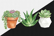 Watercolor Succulent Clipart, an Illustration by Creative Art (Thumbnail 6 of 10)