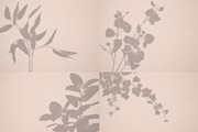 Botanical Shadow Overlays Bundle, a Graphic by denofdreamers (Thumbnail 2 of 4)