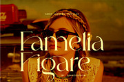 Abigail - Popular Classy Modern Seri, a Serif Font by suhadidesign (Thumbnail 3 of 14)