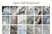Oyster Shell Textures Backgrounds, a Background Graphic by youtoview (Thumbnail 7 of 12)