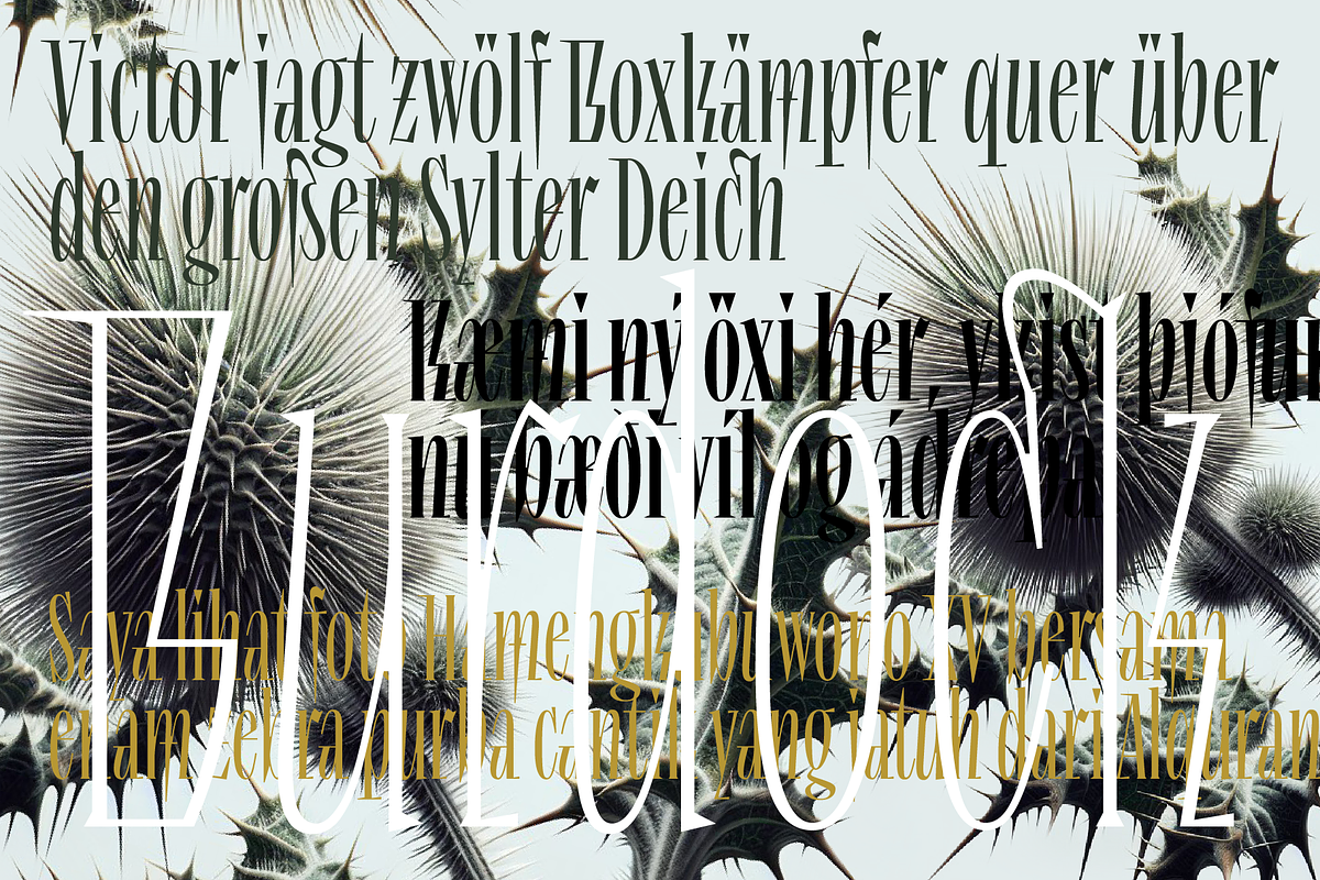 Repyakh Serif type family, a Serif Font by LevType (Photo 4 of 14)