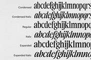 The Basilica Awesome Serif (9 Font), a Serif Font by Positive TypeFoundry (Thumbnail 4 of 15)