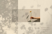 Dappled - Botanical Shadow Overlays, a Texture Graphic by alonahaidash (Thumbnail 16 of 16)