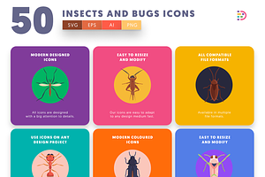 50 Insects And Bugs Icons