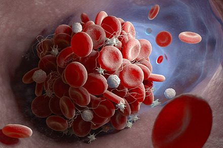 Blood cells