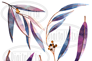 Watercolor Eucalyptus Clipart, an Illustration by DigitalArtsi (Thumbnail 2 of 4)