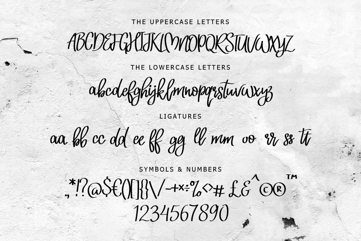 Neoscopic Brush Typeface preview 5