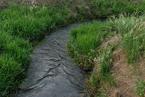 water rivulet amidst the grass, a Photo by WorldOfPhotos