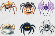 Halloween Clipart Spider Clipart PNG, an Illustration by Black Bird Studio (Thumbnail 6 of 6)