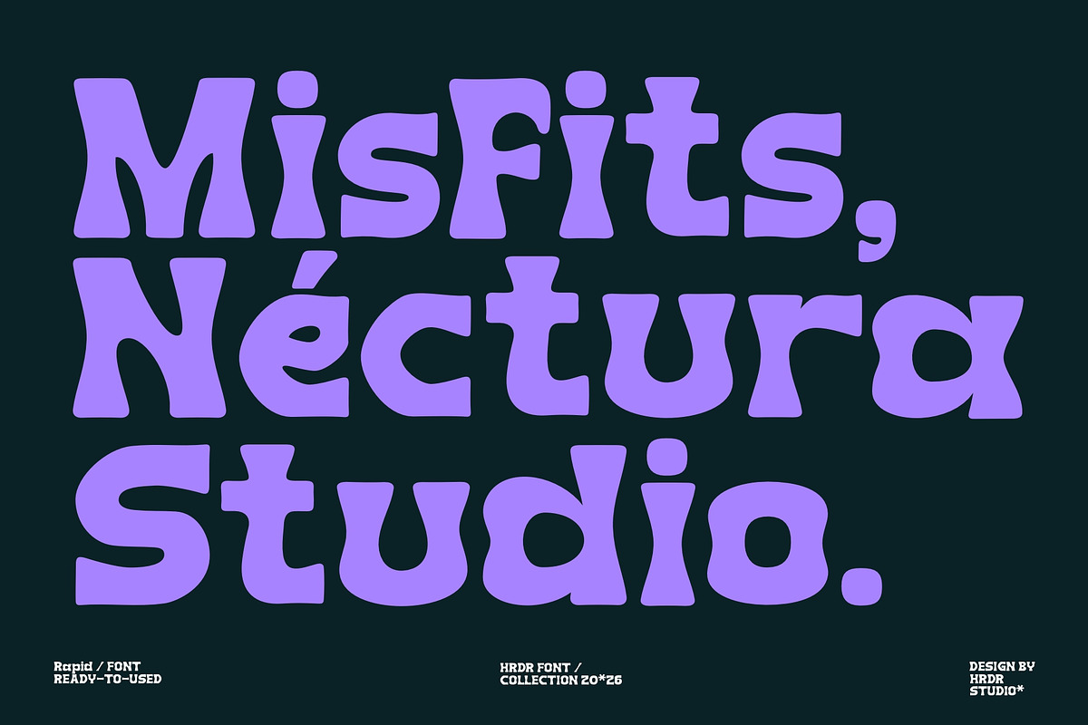 Rapid ( New Font ), a Serif Font by HRDR (Photo 3 of 11)