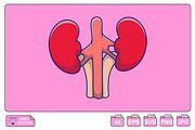 Kidney Cartoon Vector Icons, a Person Illustration by Artstorystudio (Thumbnail 1 of 3)