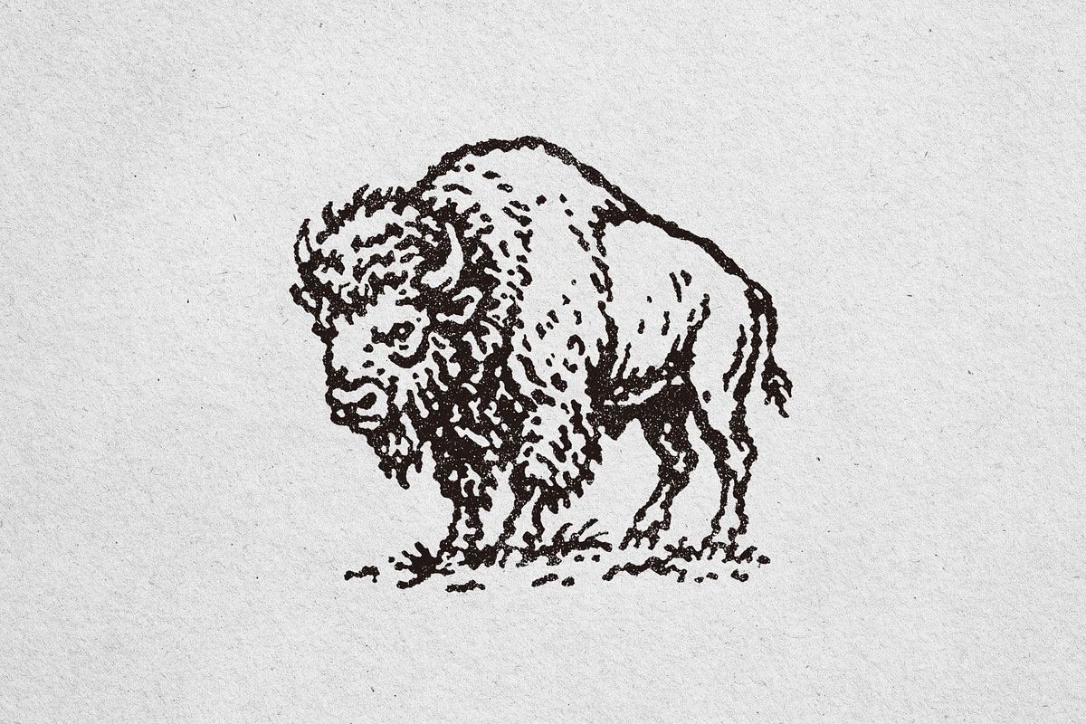 Vintage Buffalo Illustration, an Animal Illustration by lettett (Photo 3 of 3)