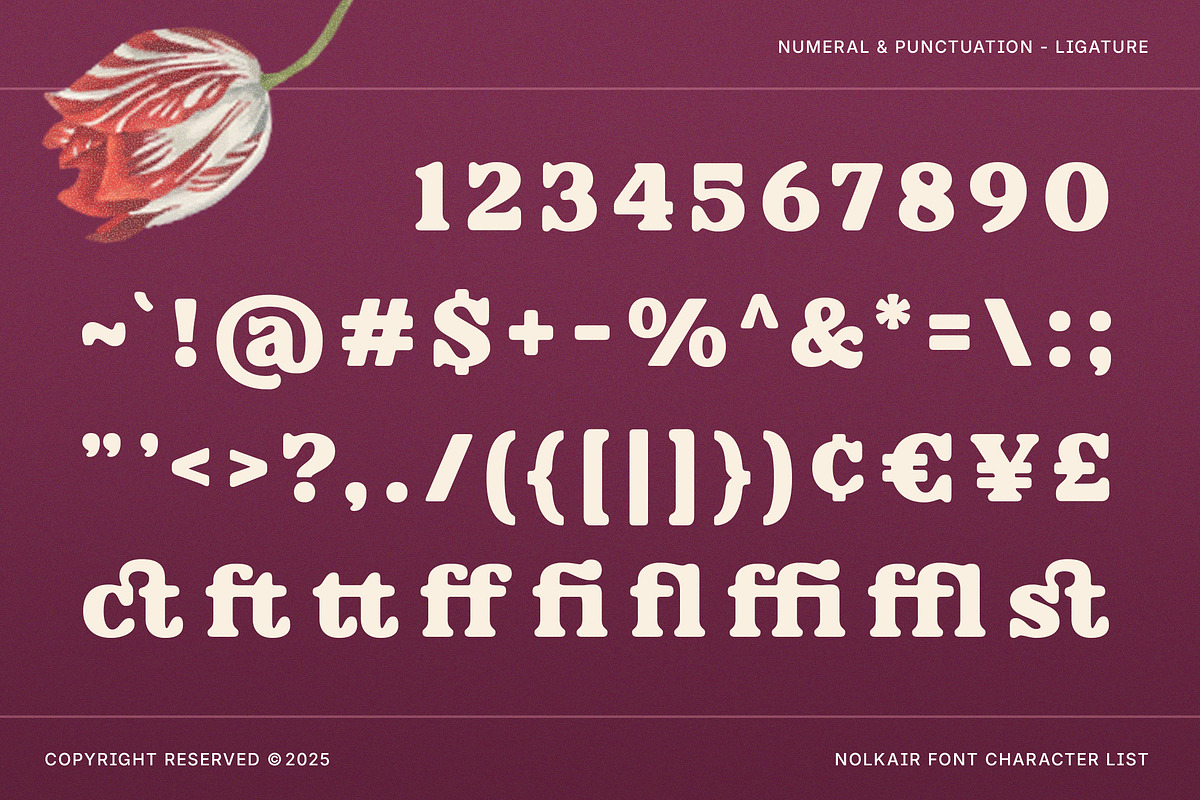 Nolkair - Bold Swashes Retro Serif, a Serif Font by Typia Nesia (Photo 3 of 15)
