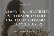 Blomenia, a Serif Font by Zaloma Studio (Thumbnail 2 of 18)