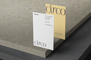 Vertical Business Card Mockup, a Product Mockup by GfxFoundry (Thumbnail 6 of 9)
