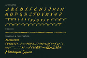 Matric Bunker Bold Brush Font, a Script Font by Letterena Studios Script (Thumbnail 18 of 20)