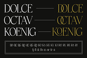 Ristford - Elegant Luxury Serif, a Serif Font by Megatype (Thumbnail 11 of 11)