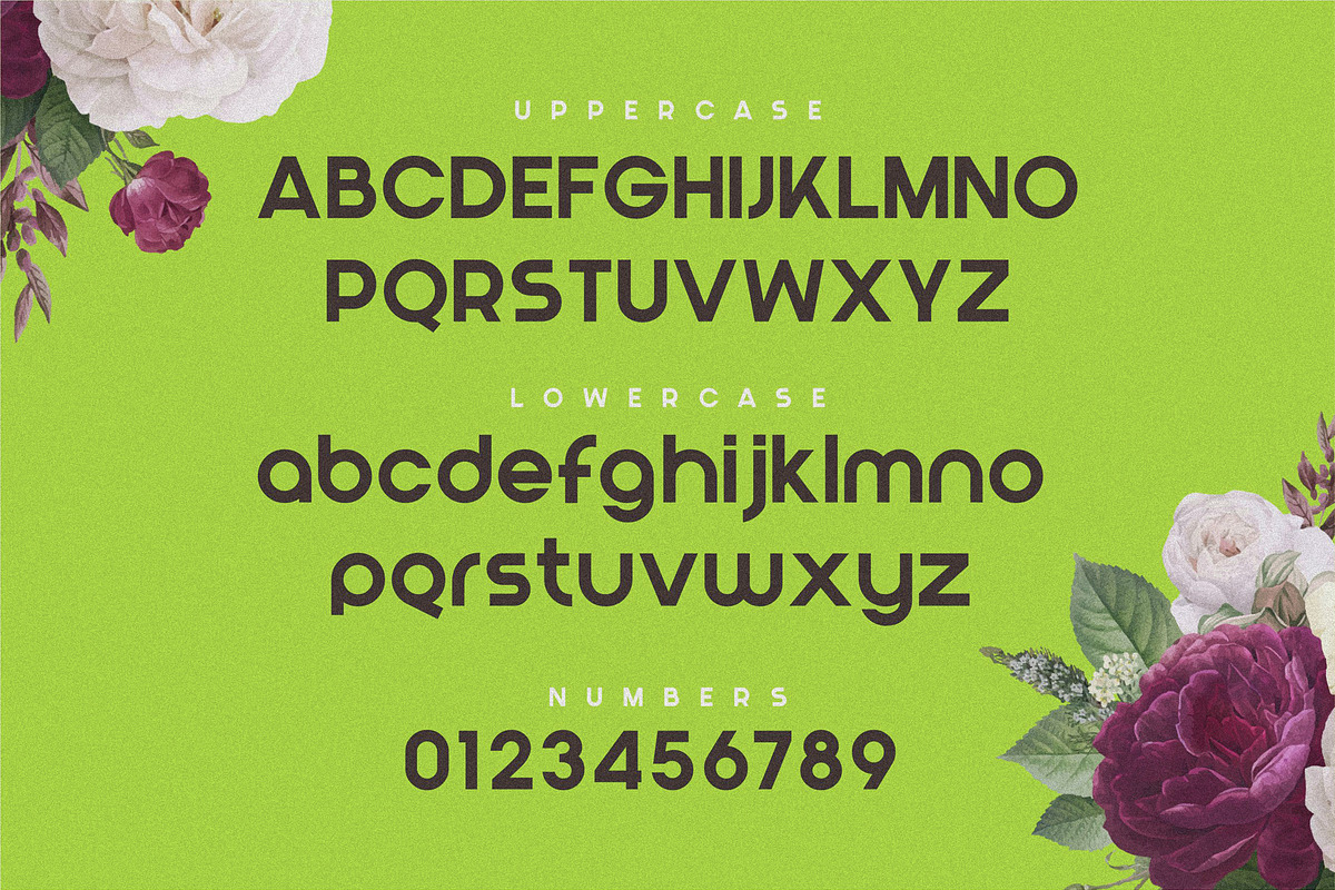 Blont | Modern & Clean Logo Font, a Sans Serif Font by 160 Studio (Photo 8 of 13)