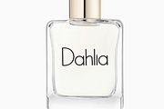 Simple Aesthetic, a Sans Serif Font by FreshTypeINK (Thumbnail 4 of 8)