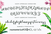 Amastery Font DUO and extras, a Script Font by BlackCatsMedia (Thumbnail 3 of 13)
