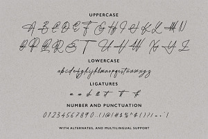 Authorman - Stylish Signature Script