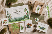 Woodland Animals Watercolor Clipart, an Animal Illustration by AnitaPol (Thumbnail 16 of 17)