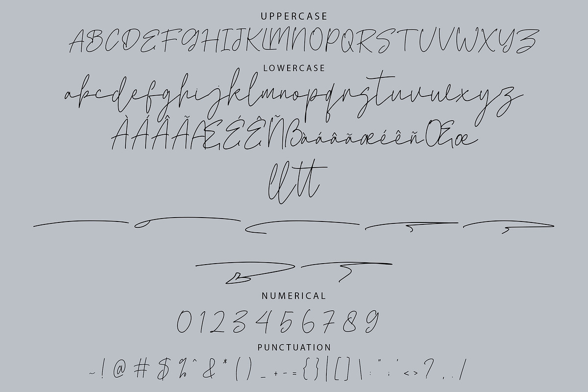 Betakra Monoline Script Font, a Script Font by NTC Graphic (Photo 8 of 9)