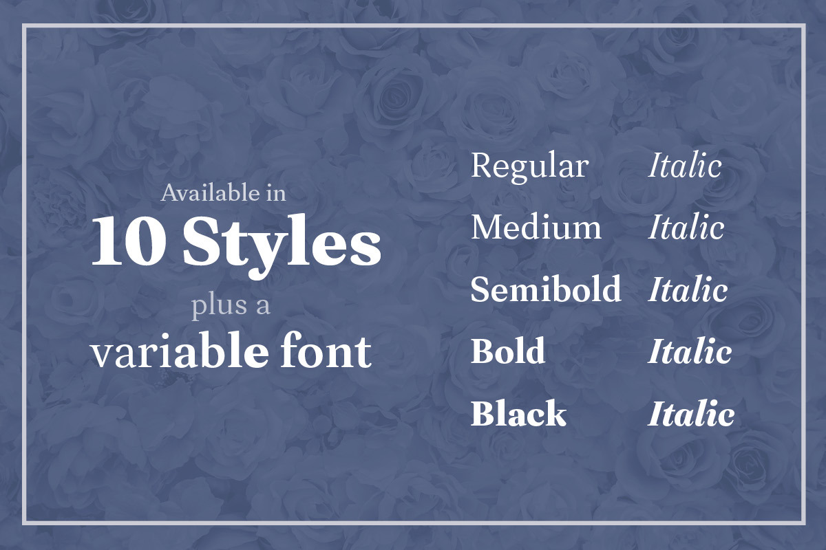 Leyendo font family by FontPeople, a Slab Serif Font by FontPeople (Photo 5 of 6)