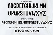 Book Digital, a Script Font by FreshTypeINK (Thumbnail 4 of 8)