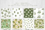 Cherokee rose clipart pattern set, a Decorative Illustration by Yelloo Fish (Thumbnail 9 of 21)