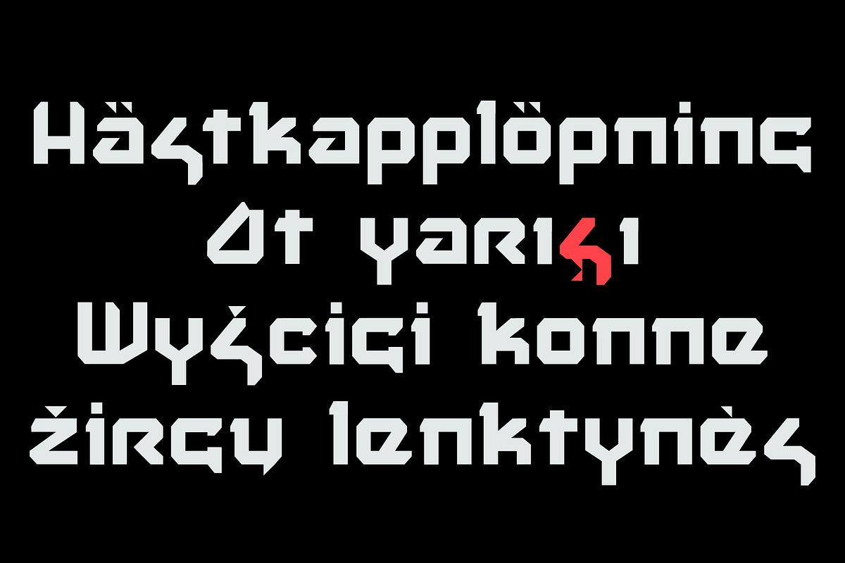 Maxed, a Sans Serif Font by Fontanatype (Photo 4 of 5)