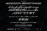 Metadiva Brush Script Font, a Script Font by NTC Graphic (Thumbnail 6 of 7)