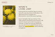Trail Notes Handwritten Font Duo, a Handwritten Font by TYPEHEIST (Thumbnail 6 of 10)
