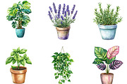 Watercolor Home Plants Clipart, an Illustration by Designking (Thumbnail 4 of 5)