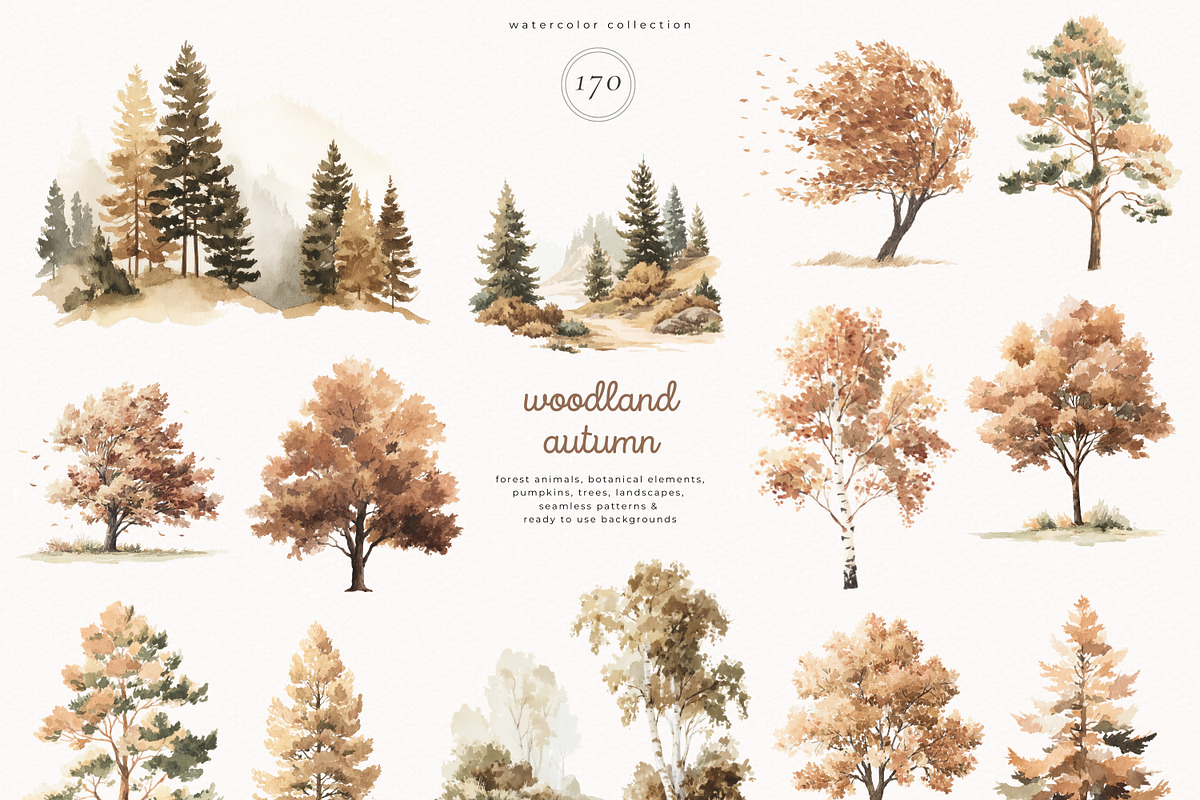 Woodland Autumn, an Animal Illustration by PeDe Designs (Photo 7 of 10)