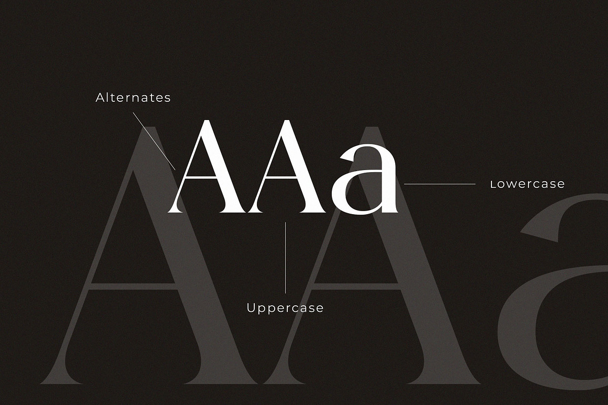 Rogles - Luxury Display Serif, a Serif Font by GridlineType (Photo 9 of 10)