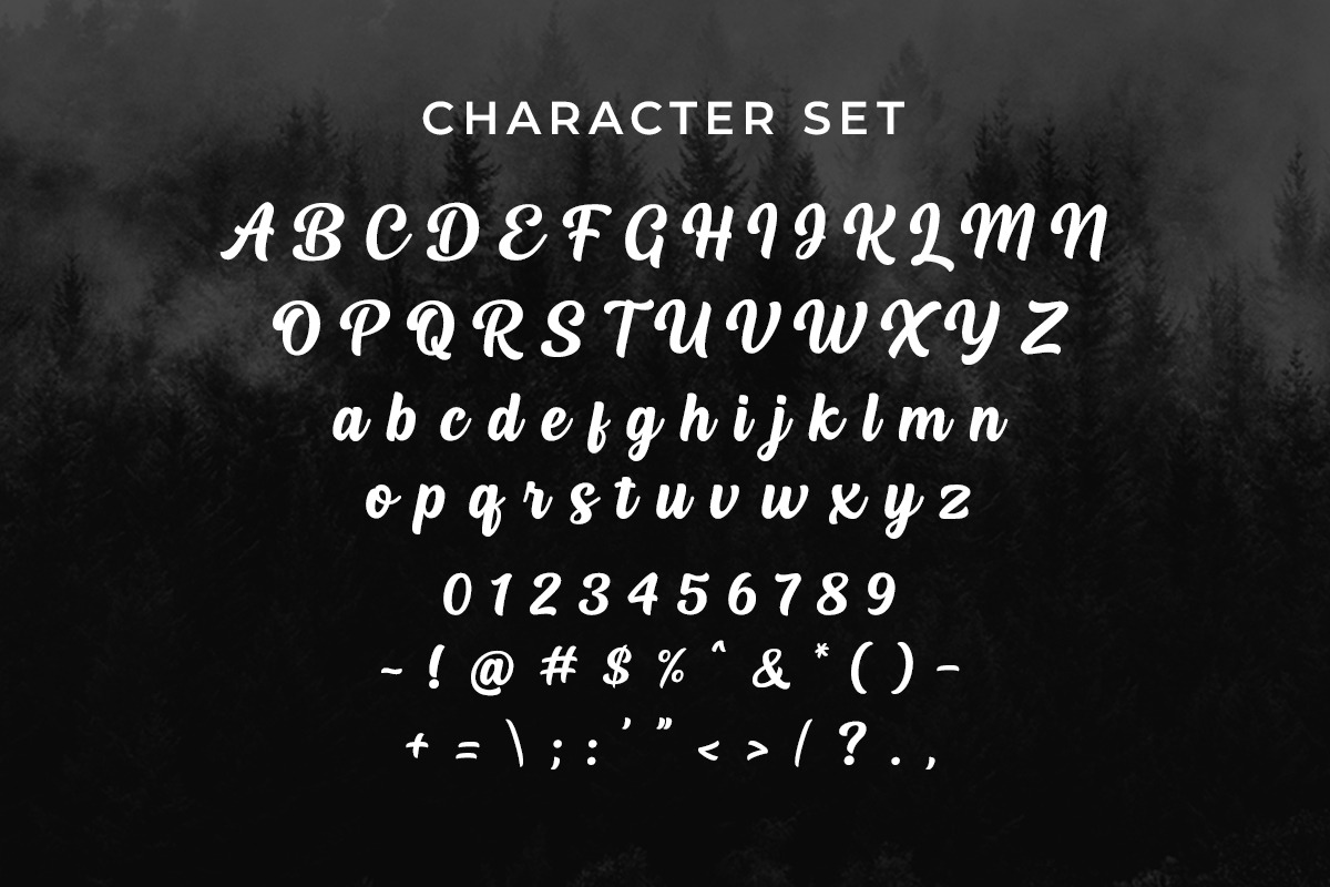 Haliond Modern Script, a Script Font by Multype Studio (Photo 9 of 11)